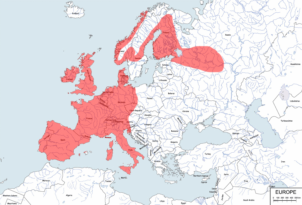 jeż zachodni - mapa