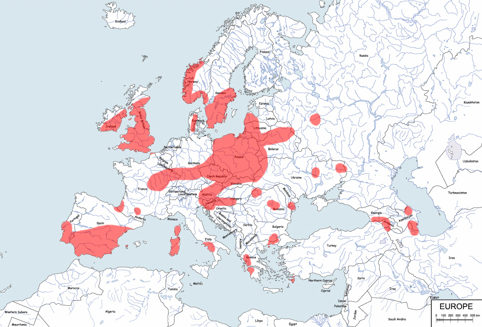 karlik drobny - mapa