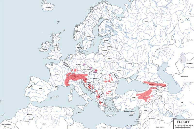 kozica północna - mapa