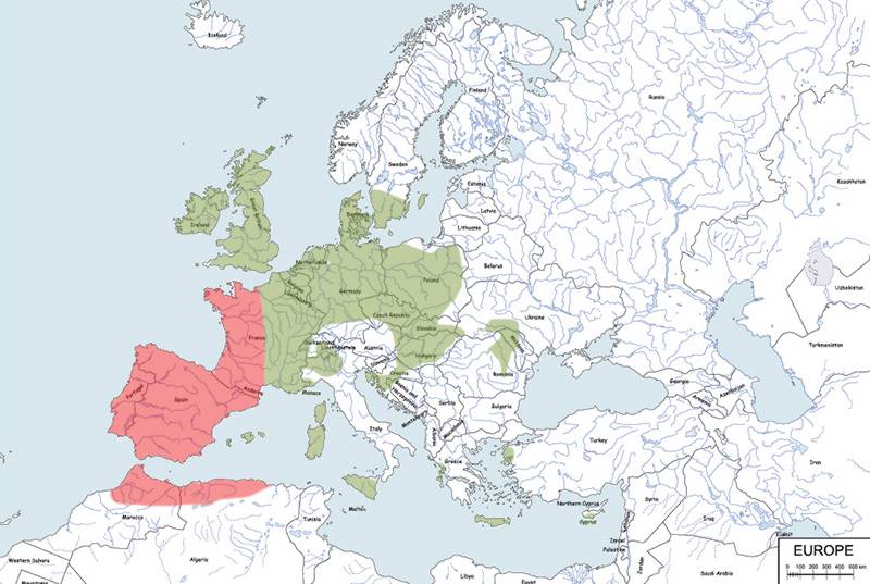królik europejski - mapa