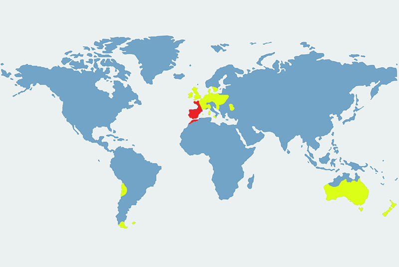 królik europejski - mapa