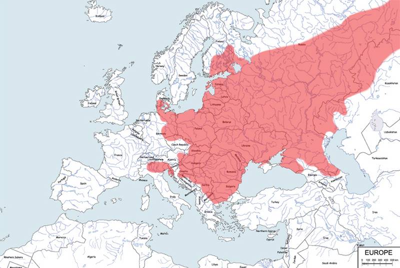myszarka polna - mapa