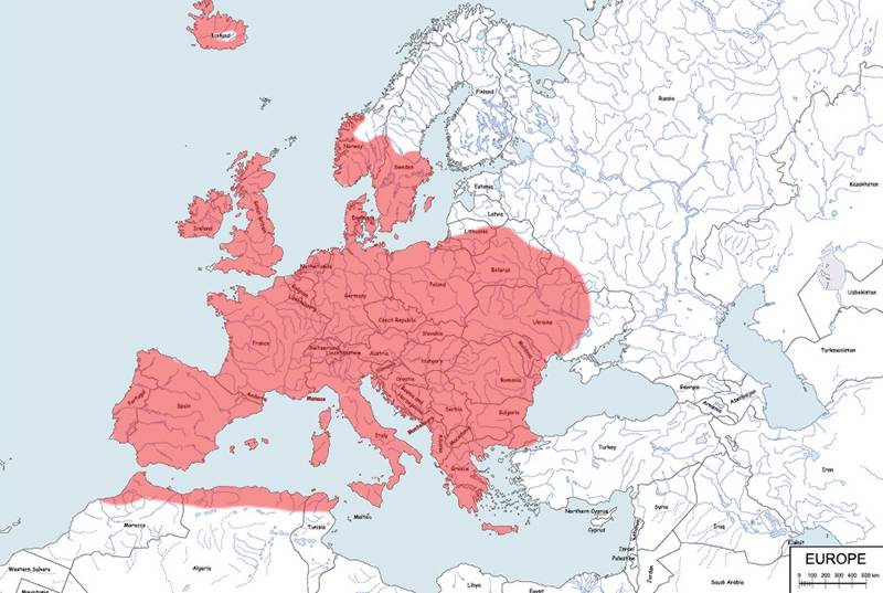 myszarka zaroślowa - mapa
