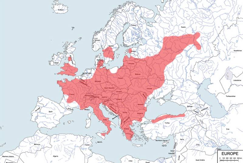 orzesznica leszczynowa - mapa