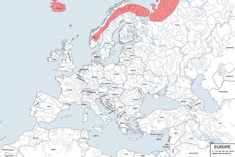 lis polarny - mapa