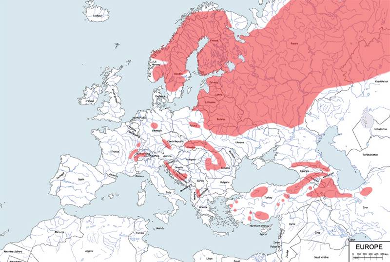ryś euroazjatycki - mapa