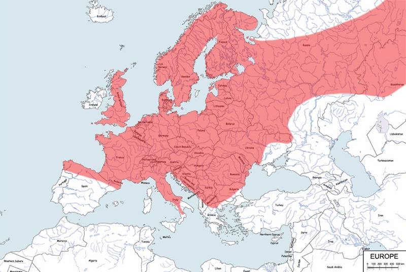 rzęsorek rzeczek - mapa