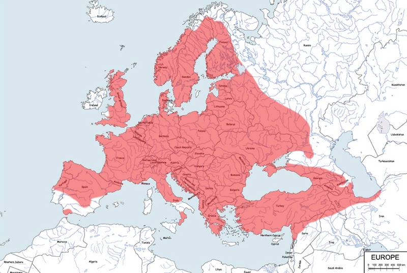 sarna europejska - mapa