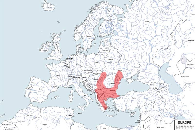 ślepiec mały, ślepiec pontyjski - mapa