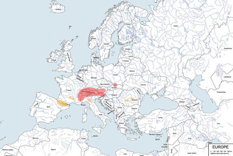 świstak alpejski - mapa