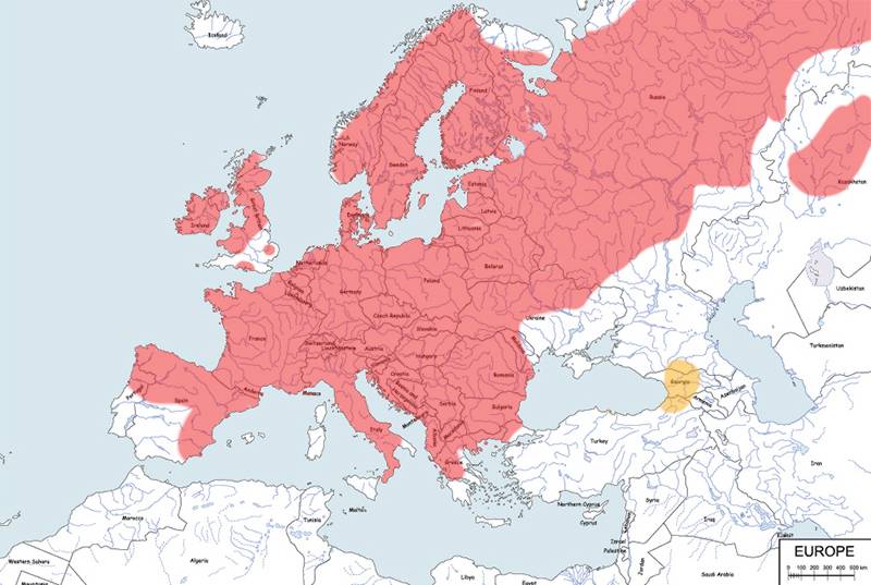 wiewiórka pospolita - mapa