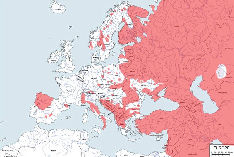 wilk szary - mapa