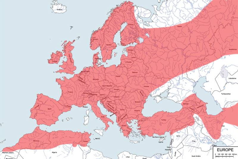 wydra europejska - mapa