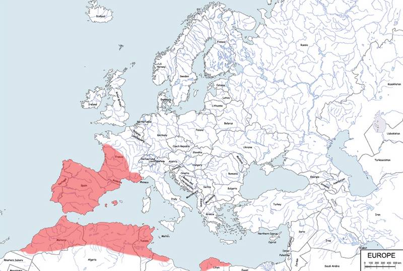 żeneta zwyczajna, geneta europejska - mapa