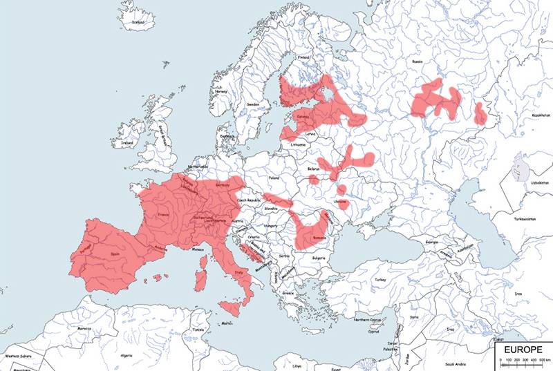 żołędnica europejska - mapa