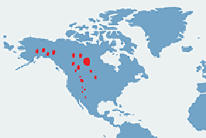 Bizon amerykański - mapa występowania na świecie
