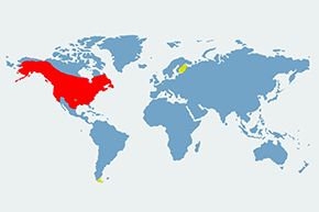 Bóbr kanadyjski - mapa występowania na świecie