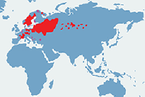 Bóbr europejski - mapa występowania na świecie
