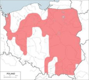 Bóbr europejski – mapa występowania w Polsce