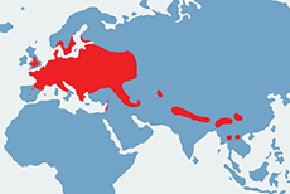 Borowiec wielki - mapa występowania na świecie