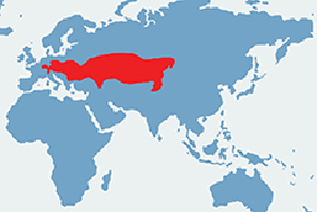 Chomik europejski - mapa występowania na świecie
