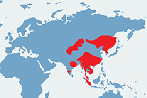 Cyjon - mapa występowania na świecie