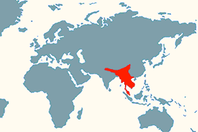 Cyweta indyjska - mapa występowania na świecie