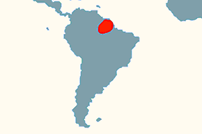 Czepiak czarny, koata - mapa występowania na świecie