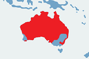 Dingo - mapa występowania na świecie