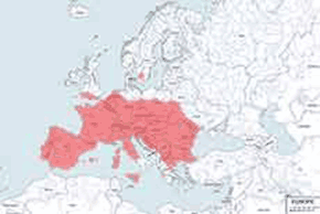 Gacek szary - mapa występowania na świecie