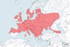 Gacek brunatny – mapa występowania na świecie