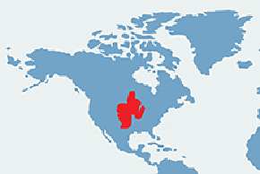Goffer równinny – mapa występowania na świecie