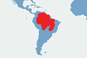Inia amazońska – mapa występowania na świecie