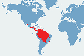 Jaguar - mapa występowania na świecie
