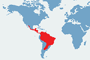 Jaguarundi amerykański - mapa występowania na świecie
