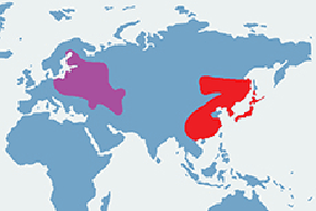 Jenot azjatycki - mapa występowania na świecie