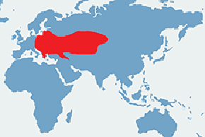 Jeż wschodni – mapa występowania na świecie