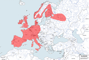 Jeż zachodni – mapa występowania na świecie