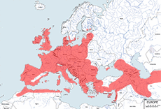 Karlik malutki – mapa występowania na świecie