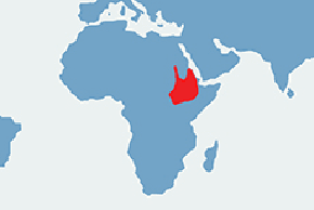 Koczkodan zielony - mapa występowania na świecie
