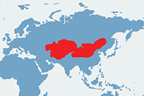 Korsak, lis stepowy - mapa występowania na świecie