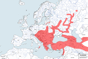 Koszatka leśna – mapa występowania na świecie