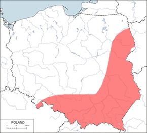 Koszatka leśna – mapa występowania w Polsce