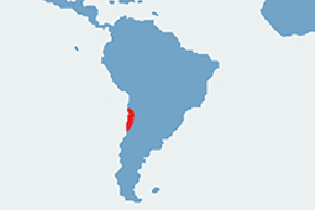 Koszatniczka pospolita – mapa występowania na świecie