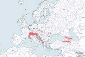 Kozica północna - mapa występowania na świecie