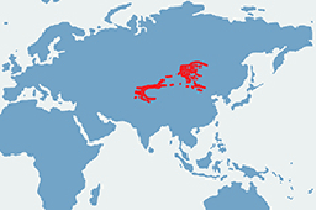 Koziorożec syberyjski - mapa występowania na świecie