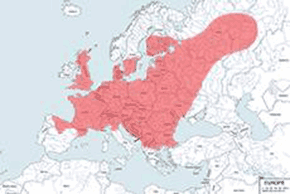 Kret europejski – mapa występowania na świecie