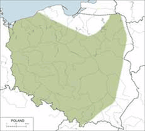 Królik europejski - mapa występowania w Polsce