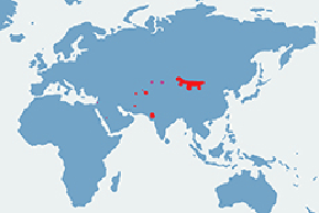 Kułan azjatycki - mapa występowania na świecie