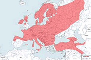 Kuna leśna – mapa występowania na świecie